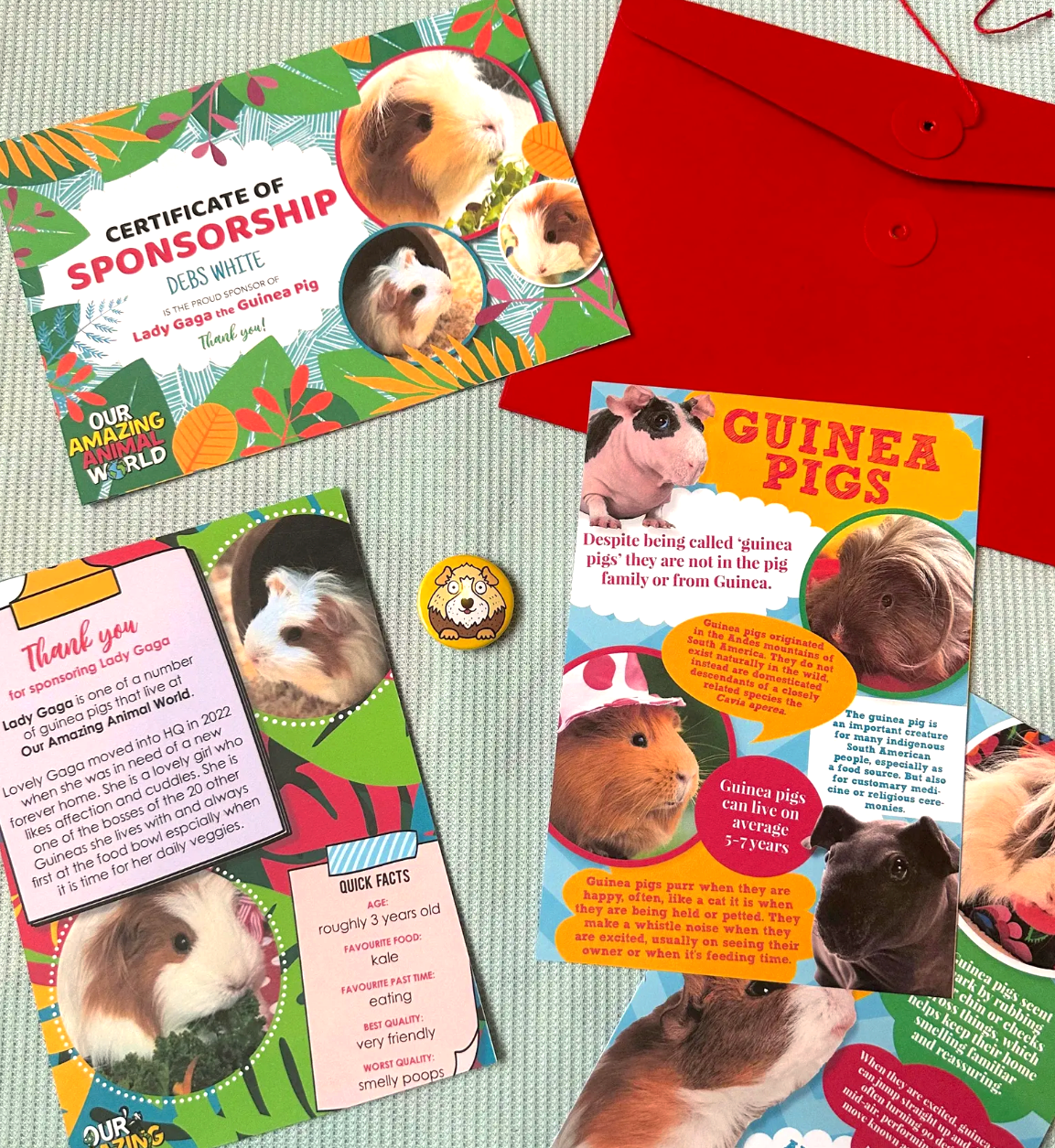 Sponsor a rescue animal (physical copy UK only)