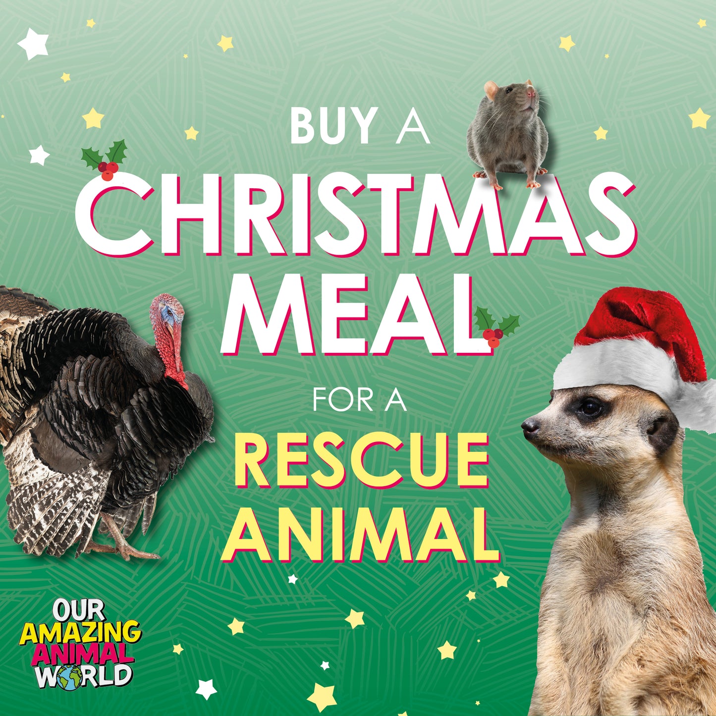 Buy a Christmas meal for a rescue animal