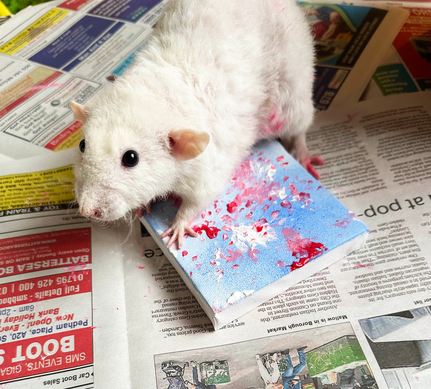 Small art canvas by Derek the rescued rat