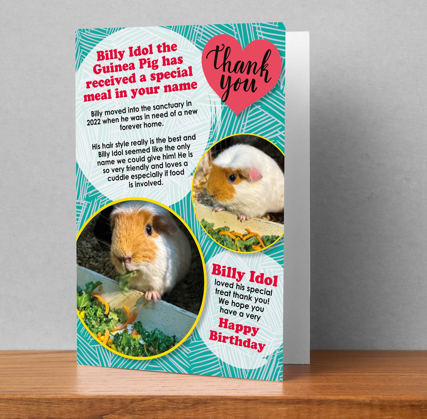 Buy a special meal card + feed a rescue animal