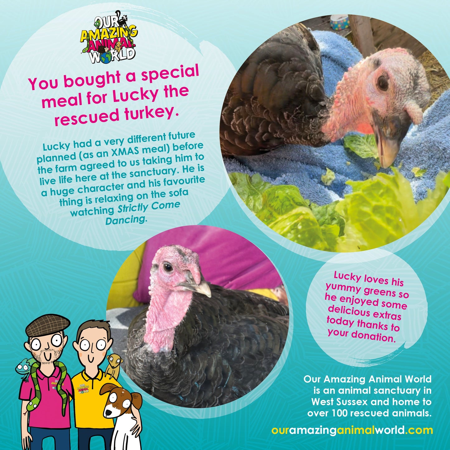 Buy a special meal card for a rescue animal