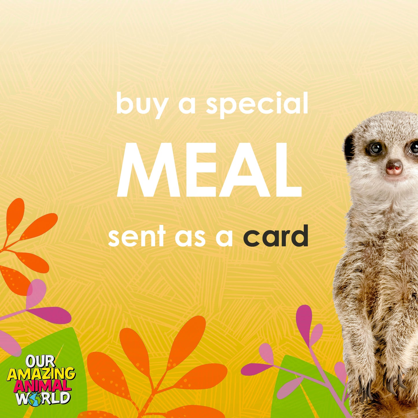 Buy a special meal card for a rescue animal