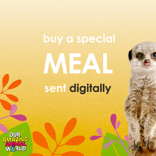 Buy a special meal for a rescue animal