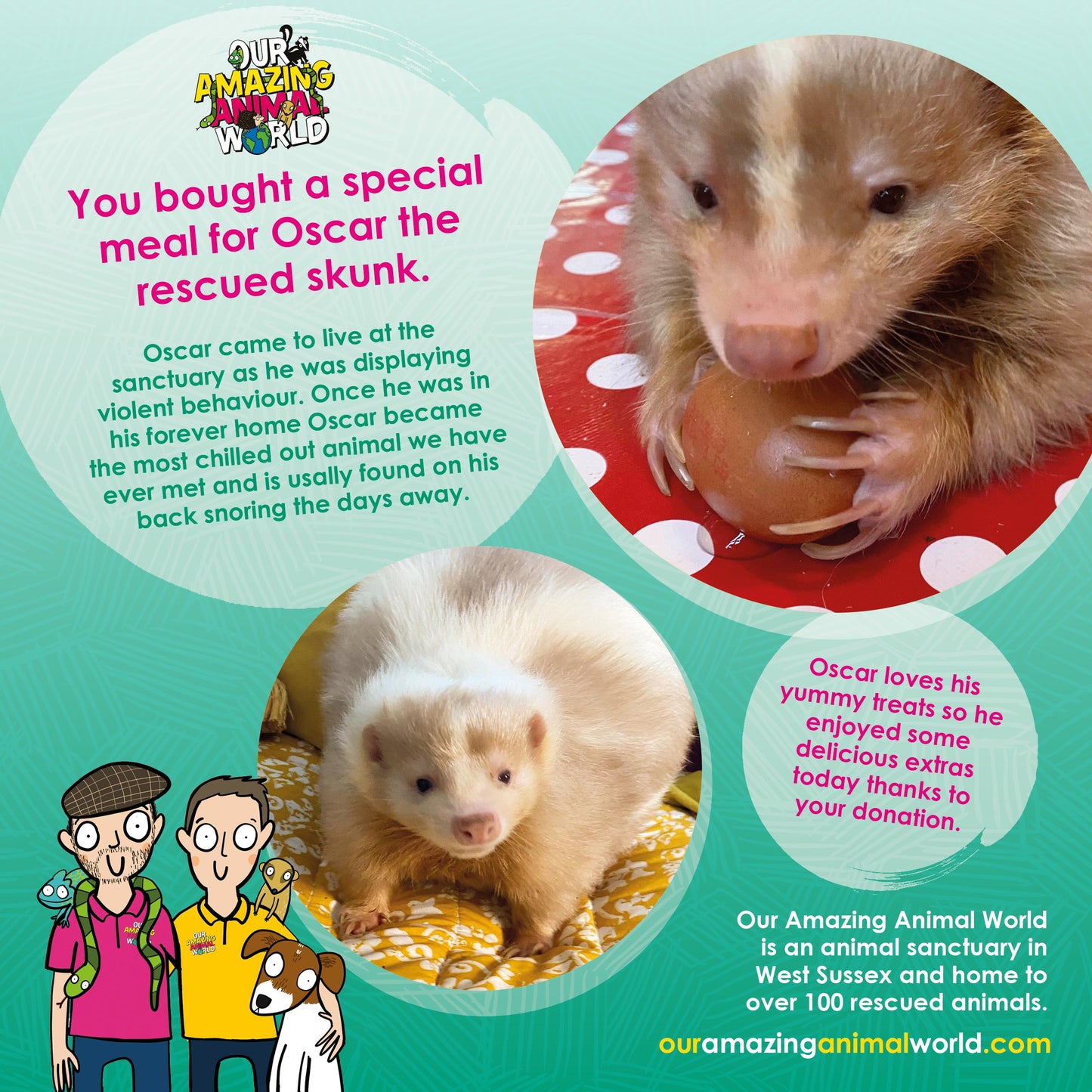 Buy a special meal card for a rescue animal