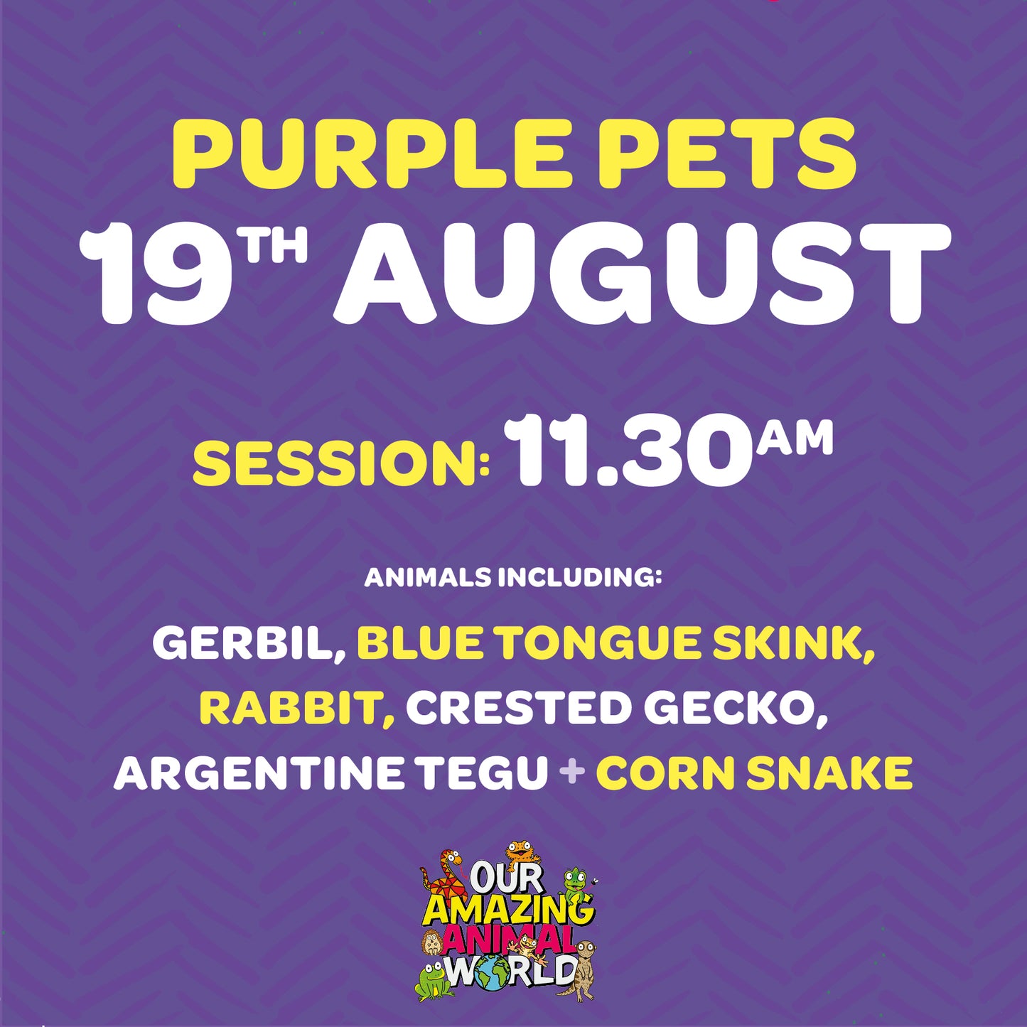 Ticket for 11.30am session, 19th August at Purple Pets