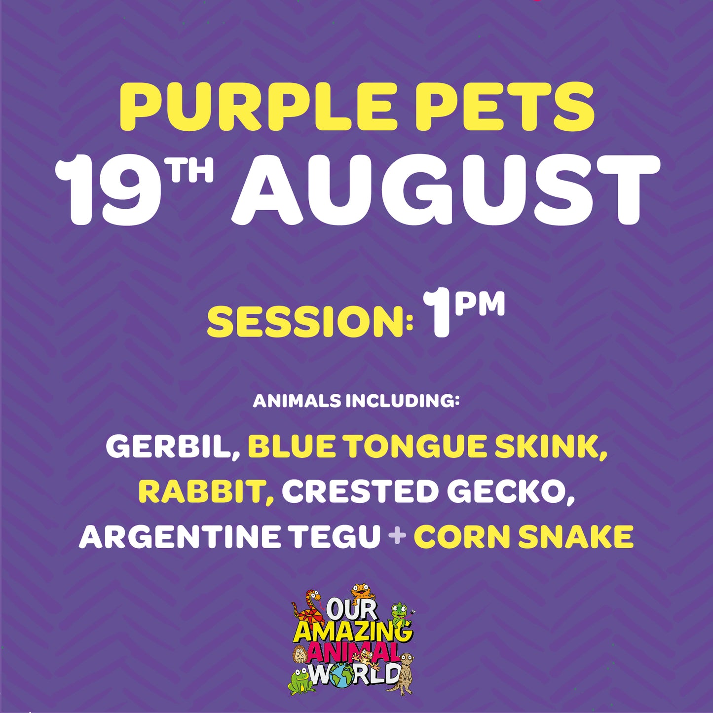 Ticket for 1pm session, 19th August at Purple Pets