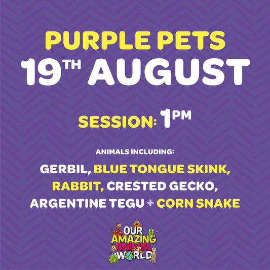 Ticket for 1pm session, 19th August at Purple Pets