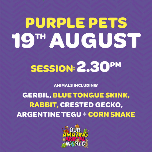 Ticket for 2.30pm session, 19th August at Purple Pets