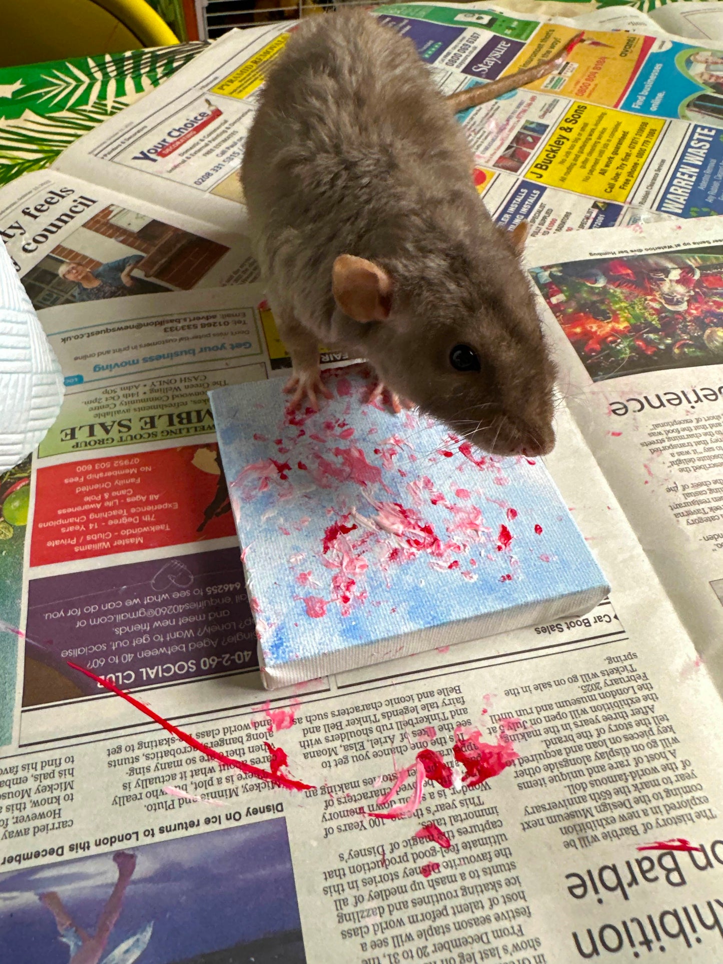 Small art canvas by Remy the rescued rat