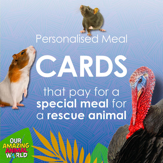 Buy a special meal card + feed a rescue animal