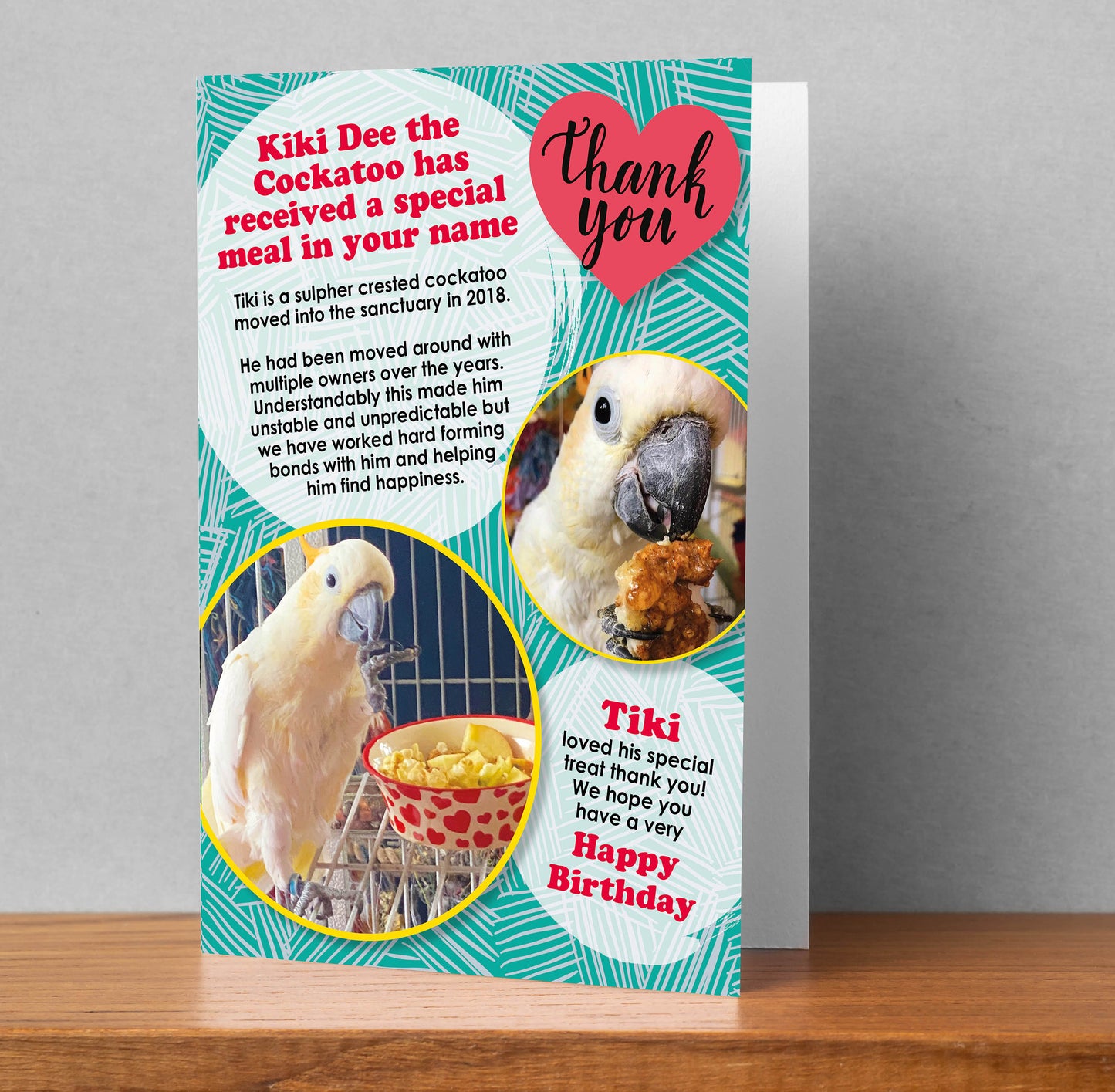 Buy a special meal card + feed a rescue animal