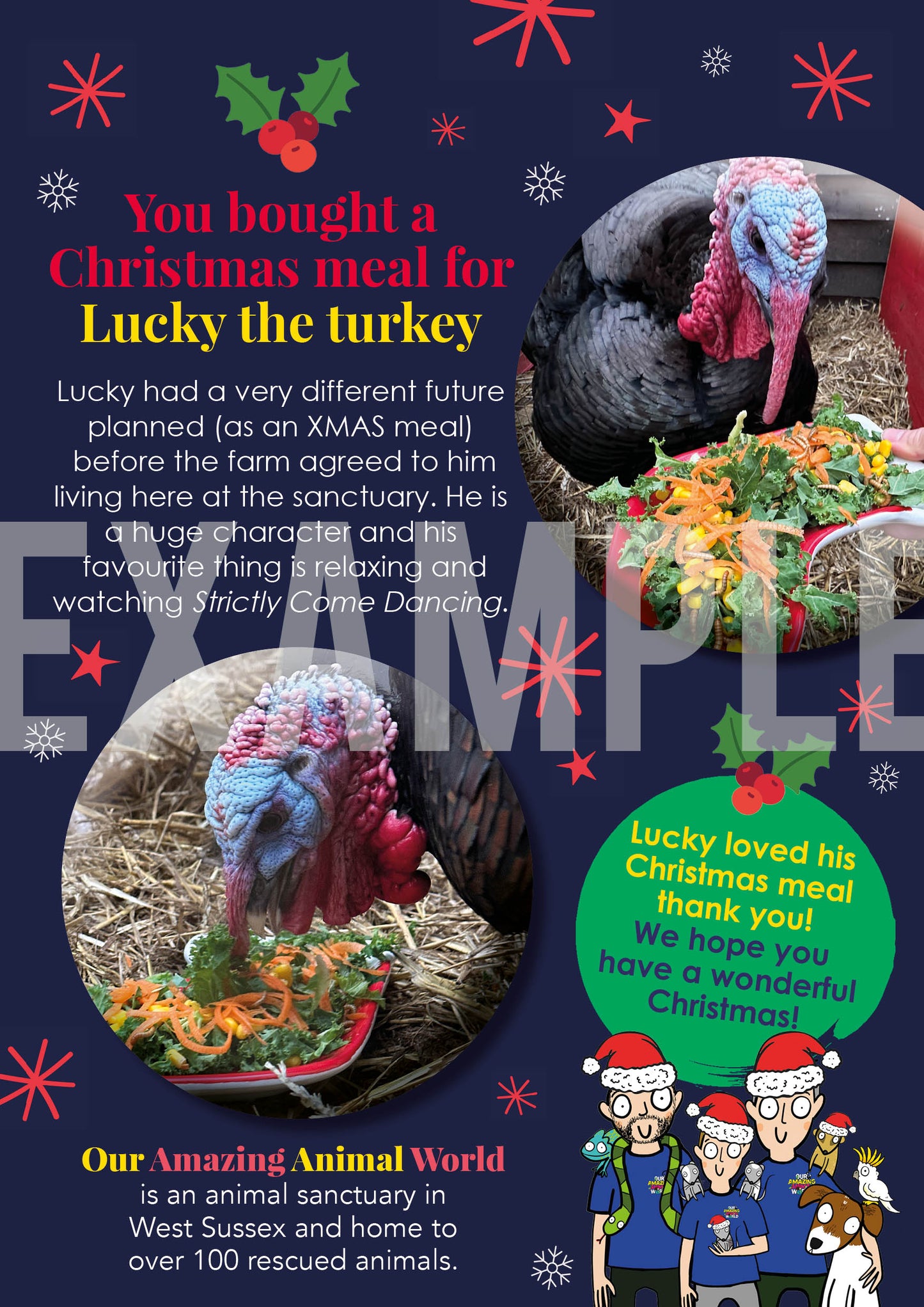 Buy a Christmas meal for a rescue animal